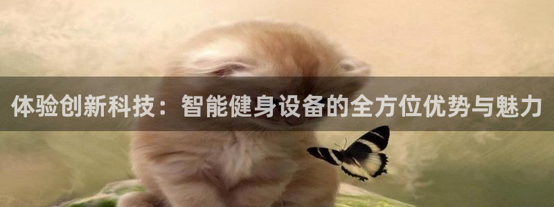 风速体育官网下载平台注册流程图：体验创新科技：智能健