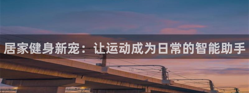 风速官方集团官网：居家健身新宠：让运动成为日常的智能助手