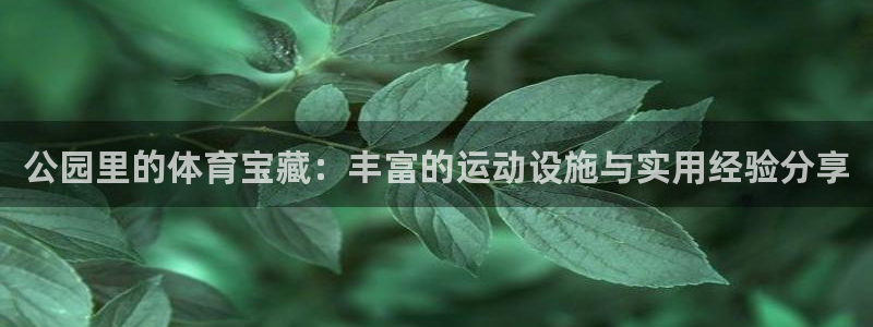 风速体育官方正版app新能源：公园里的体育宝藏：丰富