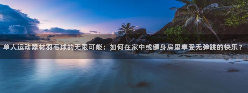 风速体育官方正版app娱乐代理怎么样：单人运动器材羽