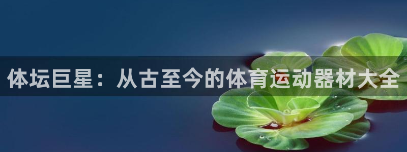 风速体育官网下载官方客服电话：体坛巨星：从古至今的体