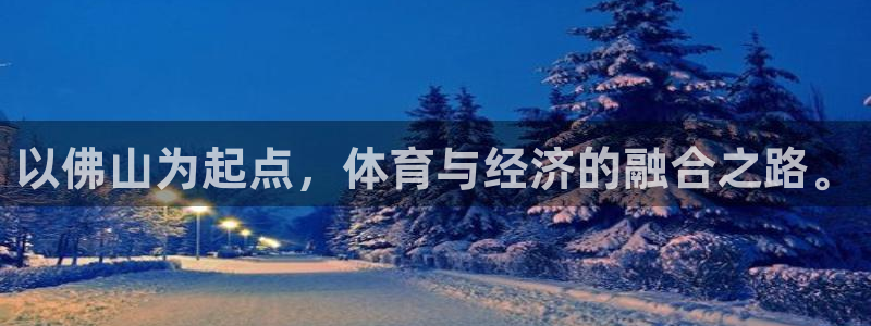 风速体育官网下载平台：以佛山为起点，体育与经济的融合